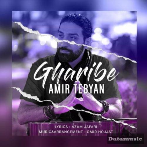 دانلود آهنگ غریبه امیر تبیان