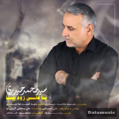 دانلود آهنگ یاعلی زود بیا سید محمد حیدری