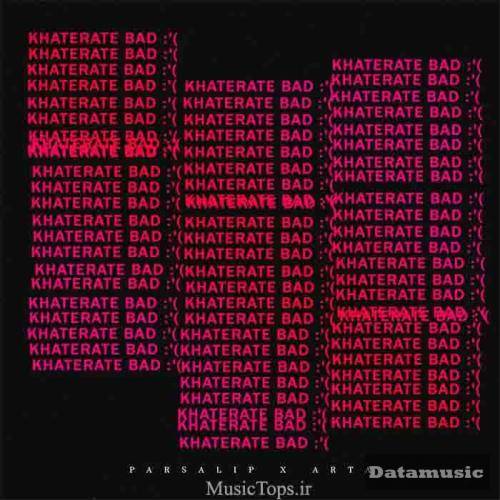 دانلود آهنگ میخوای آروم بشی باید قید عاشقی رو زد پارسالیپ