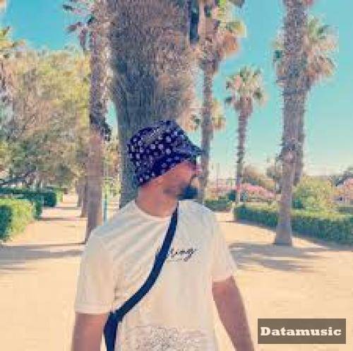 دانلود آهنگ دستخوش رضوممو و پمانیک