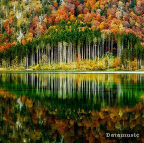 دانلود آهنگ بای بای بای دنیا