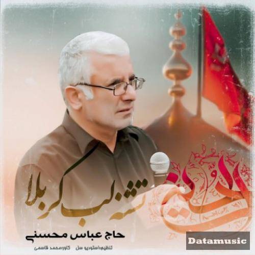 دانلود آهنگ تشنه لب کربلا حاج عباس محسنی