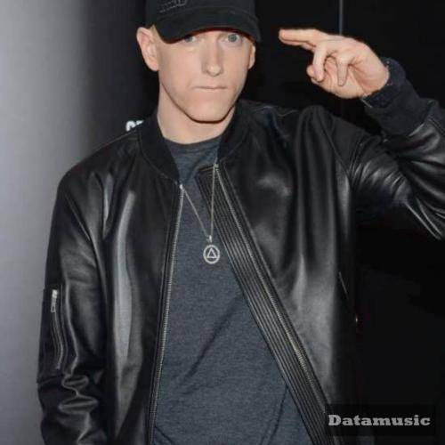 دانلود آهنگ Love The Way You Lie امینم