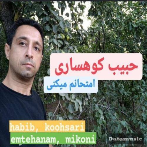 دانلود آهنگ امتحانم میکنی حبیب کوهساری