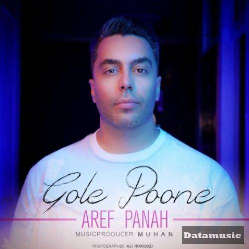 دانلود آهنگ گل پونه عارف پناه