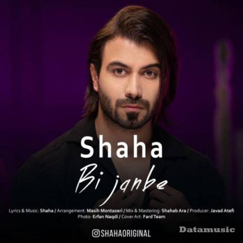 دانلود آهنگ بی جنبه شاها