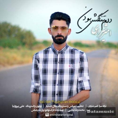 دانلود آهنگ دلم تنگش بودن امیر شراری
