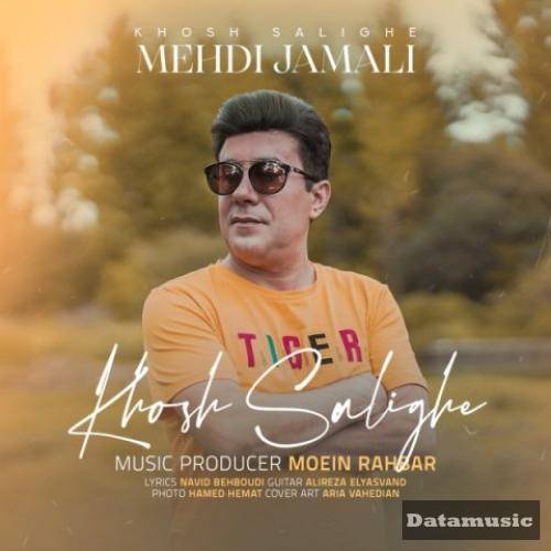 دانلود آهنگ خوش سلیقه مهدی جمالی