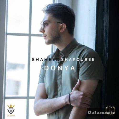 دانلود آهنگ دنیا شاهین شاپوری