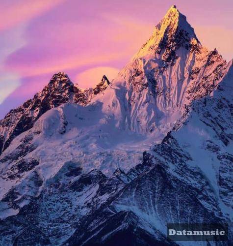 دانلود آهنگ حله حله حله حل میکنم توش بله بله تهی و تتلو