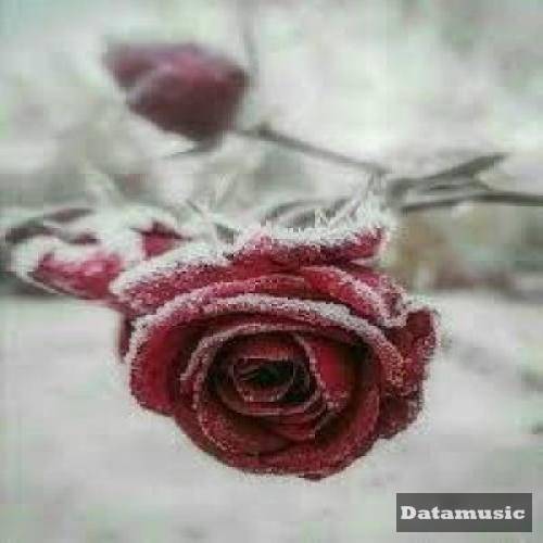 دانلود آهنگ روز قیامت آرش خوشنواز