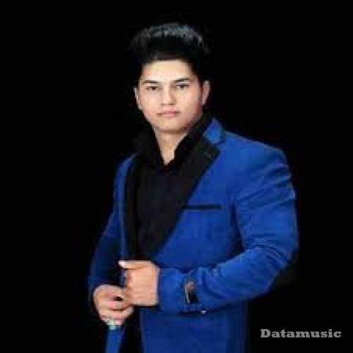 دانلود آهنگ داداشی علی برزنونی