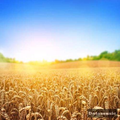 دانلود آهنگ چرا نمیشه تحملش کرد زندگی تاریکه منم دورشم رضا پیشرو