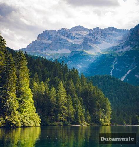 دانلود آهنگ باشی ولی همه چی برعکس بمون تو بغلم از هیچی نترس کوروش