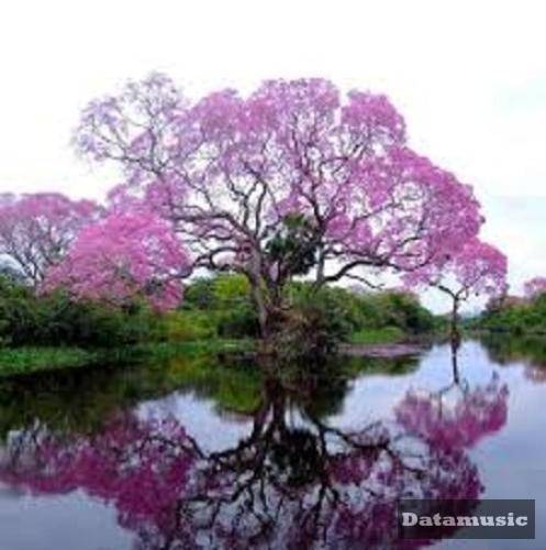 دانلود آهنگ وگر حسن نویدپناه