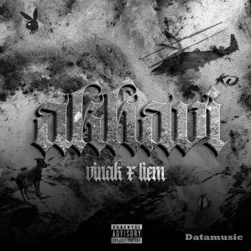 دانلود آهنگ اخوی ویناک