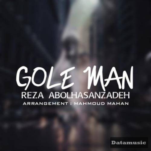 دانلود آهنگ گل من رضا ابوالحسن زاده