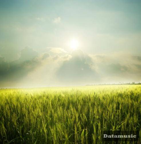 دانلود آهنگ تو خودت داغونی واسه چی بزنم نیشت امیر تتلو