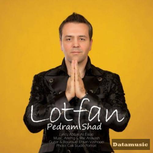 دانلود آهنگ لطفا پدرام شاد