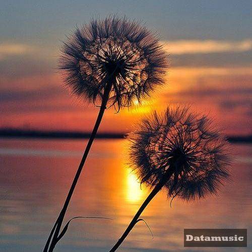 دانلود آهنگ پر شدم از حرفای بی ربط و ظرفهای شکسته سارن