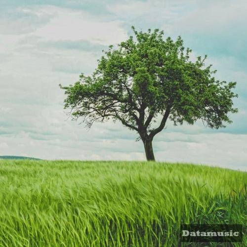 دانلود آهنگ تو نباشی مهدی حسین زاده