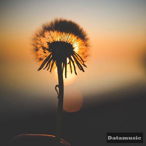 دانلود آهنگ من همه جا تنهایی می رم تنهایی بیرون تنهایی خونه سارن