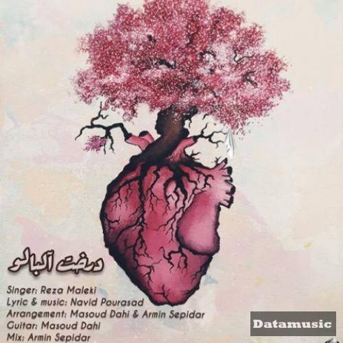 دانلود آهنگ درخت آلبالو رضا ملکی