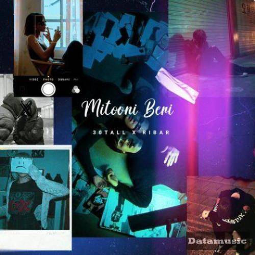 دانلود آهنگ میتونی بری امیر ریبار