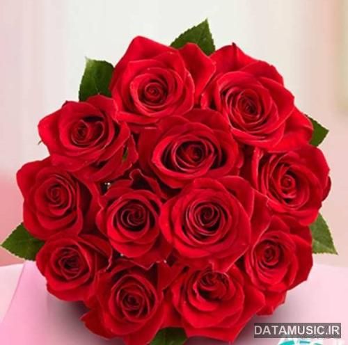 دانلود آهنگ  هی اینا فاز ما نی جیب خالی بیای فاز ما نی شاهین لو