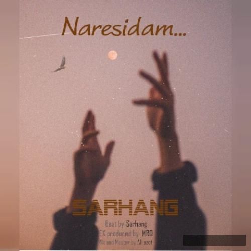 دانلود آهنگ نرسیدم سرهنگ