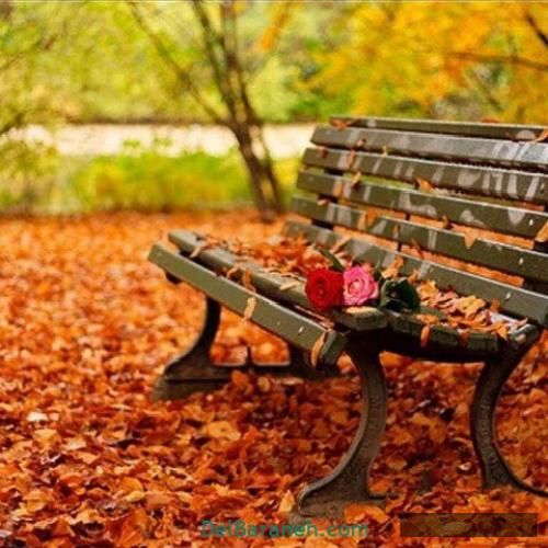 دانلود آهنگ ای ول ارفا و دکیمز