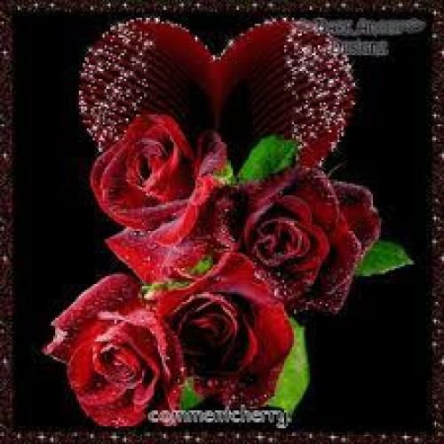 دانلود آهنگ دنیام شده خاکستر عاشق نبود از ما بیشتر میلی بی