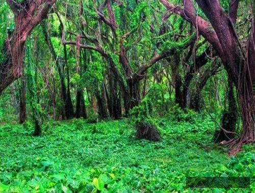 دانلود آهنگ تورو ازم دزدیدن فقط تورو کی بود مثل من بلد تو یه طرف دنیا یه طرف دمونز