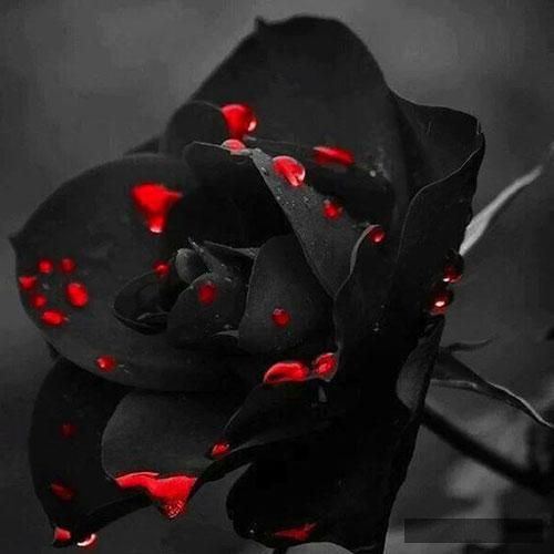 دانلود آهنگ  با سیگارم سوزوندم نوک این زبونمو 