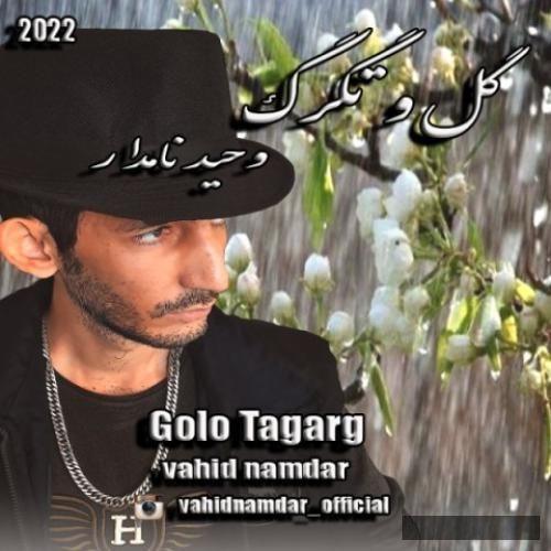 دانلود آهنگ گل و تگرگ وحید نامدار