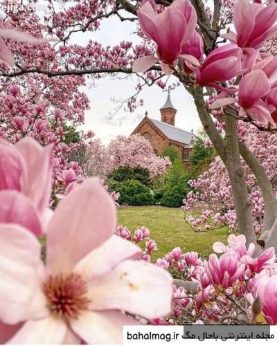 دانلود آهنگ میگم برات یه قصه وقتی می خوای بخوابی عرشیا غم