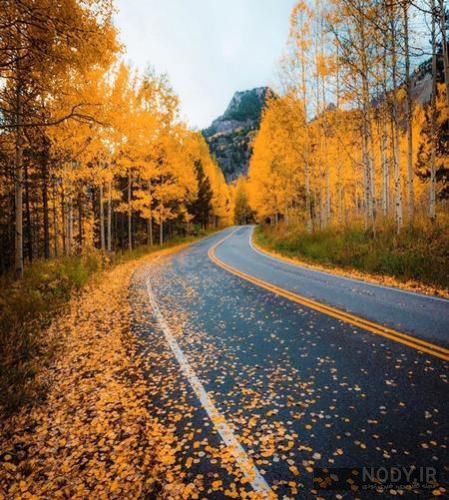 دانلود آهنگ بلیت برد مکمل