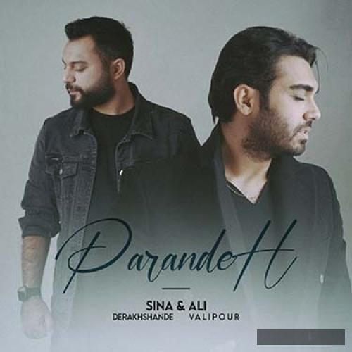 دانلود آهنگ پرنده علی ولی پور و سینا درخشنده