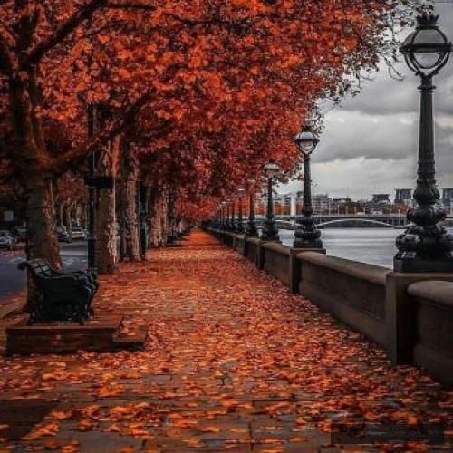 دانلود آهنگ  میشه شاد میشه شاد میشه شاد میگه شکرش که خوب دراومد از آب مکمل