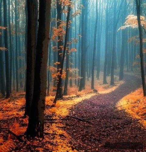 دانلود آهنگ من شدم خون تو رگت همه رسوب کردن من شدم بد آدمه همه که خوب کردن امیر تتلو