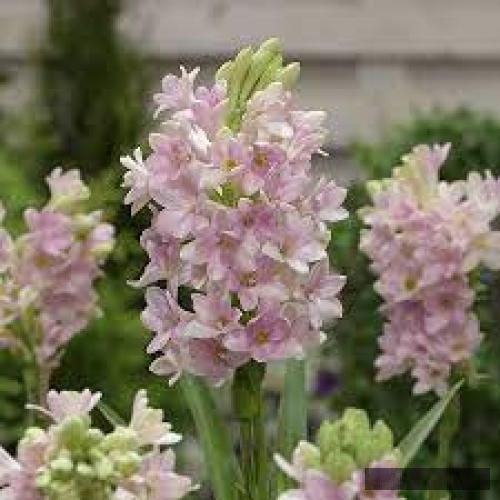 دانلود آهنگ بیبی گله دارم ازت یکمی من کامی سول