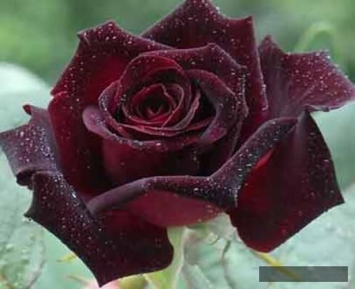 دانلود آهنگ آدما منو نگاه میکردن عده ای هم صدام میکردن  سپهر خلسه