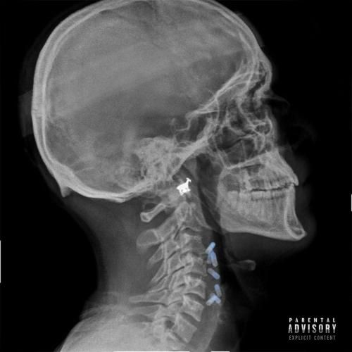 دانلود آهنگ میسوزم تو شهر هیپهاپولوژیست و کاگان