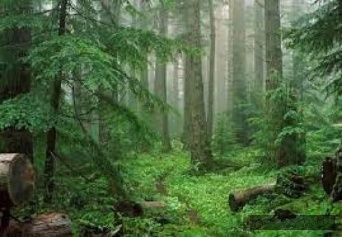 دانلود آهنگ  خونه ی آخر  جیدال و مدگل