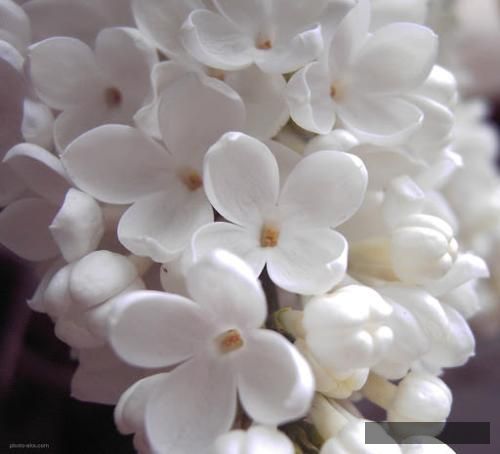 دانلود آهنگ گفتی فرق داری با همه ولی توام قلبت از آهنه علیپاشا و ویناک و علی تی