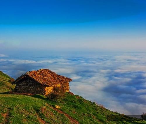 دانلود آهنگ تو این باغ پر لاله اس بگو دیر نیست واسم جا هست تخمشم میکارم جا ترس هیپهاپولوژیست و کاگان