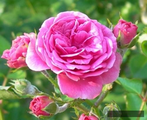 دانلود آهنگ این تصویر و راز یه نسلی که ته این قصه خودش راوی اصلیه دن و سیجل