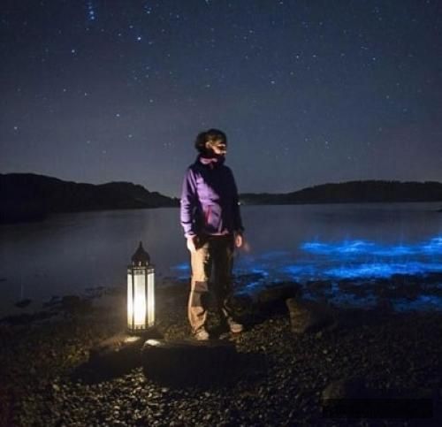 دانلود آهنگ واسه یکی میمیرم که واسه من تب کنه یکی که بمونه تو بارونو برام صبر کنه ستین