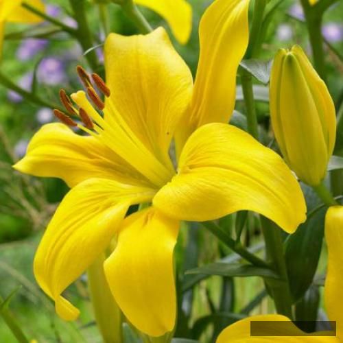 دانلود آهنگ میشه برا زندگی مرد میشه برا آزادی حبس شد گل زندگی زندگی کن نبینم تشنگیتو دن و سیجل