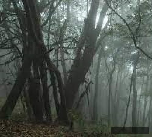 دانلود آهنگ دارم میسوزم تو شهرم میگن دیونم تو شهرم می مونم تو شهرم هیپهاپولوژیست و کاگان